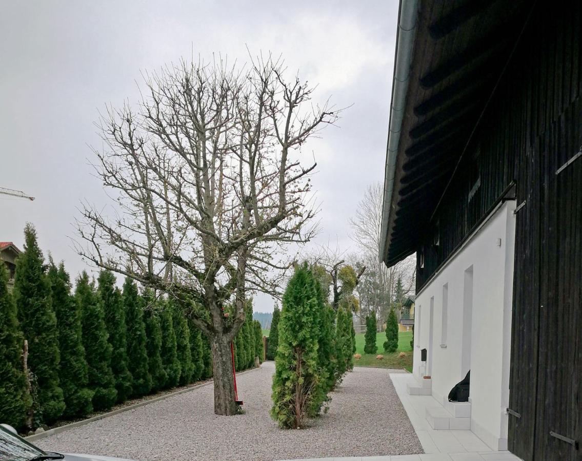 Muensing Naehe Starnberger See, Schoene Ferienwohnung, Gaestewohnung 125Qm Eg Und Og Kontaktfrei Esterno foto